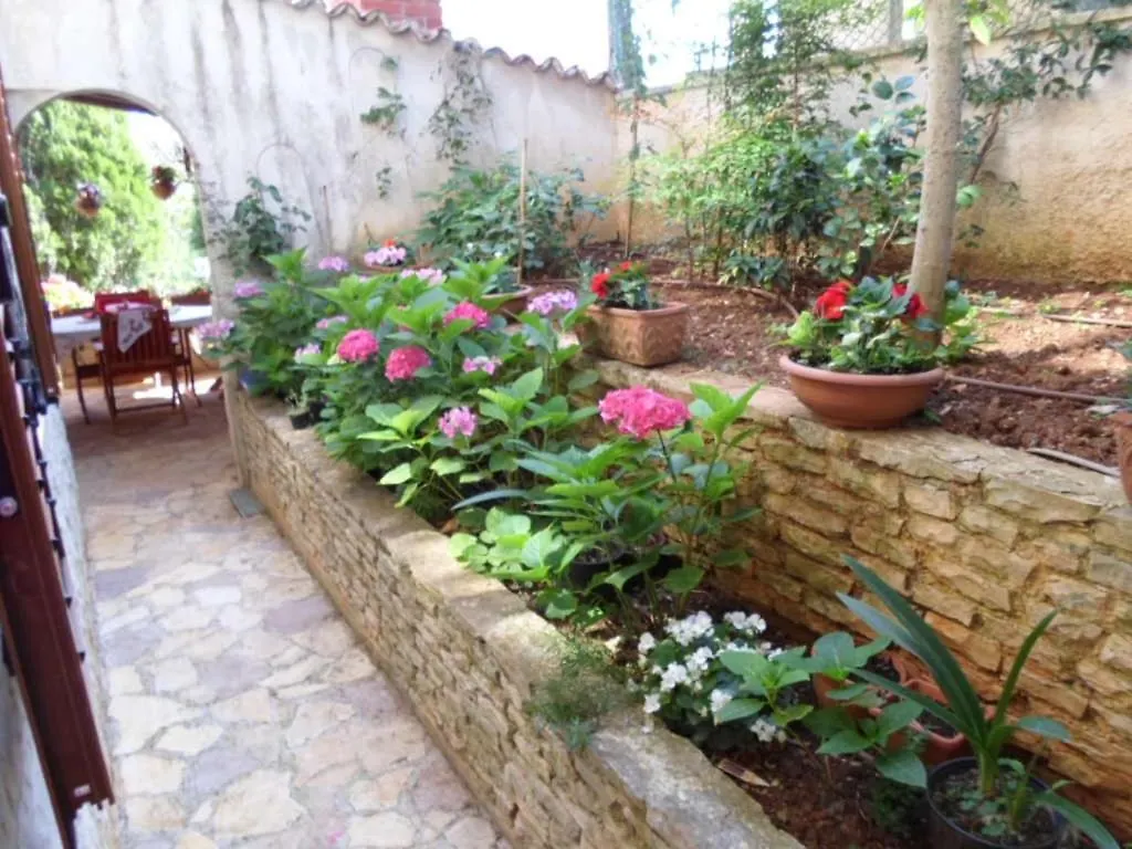 Apartment In Banjole With Terrace, Air Conditioning, Wifi, Washing Machine 3360-1