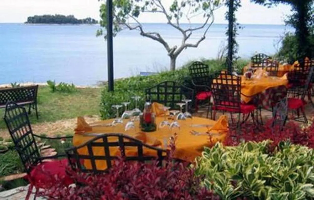 Apartment In Banjole With Terrace, Air Conditioning, Wifi, Washing Machine 3360-1