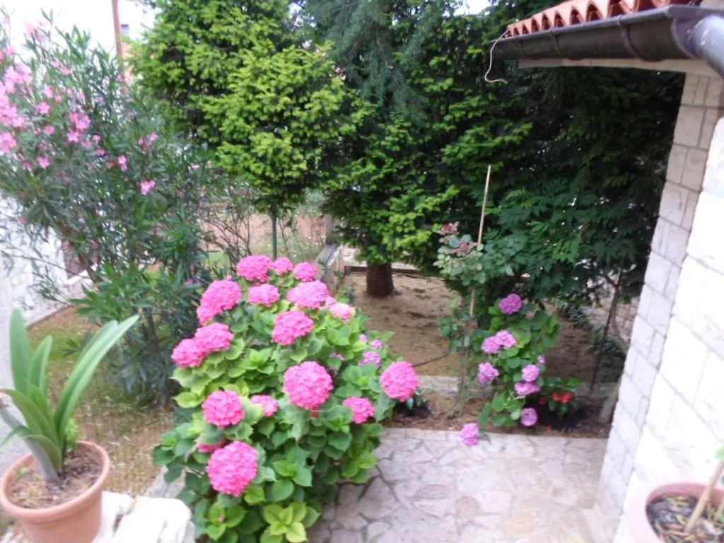 Apartment In Banjole With Terrace, Air Conditioning, Wifi, Washing Machine 3360-1 0*,